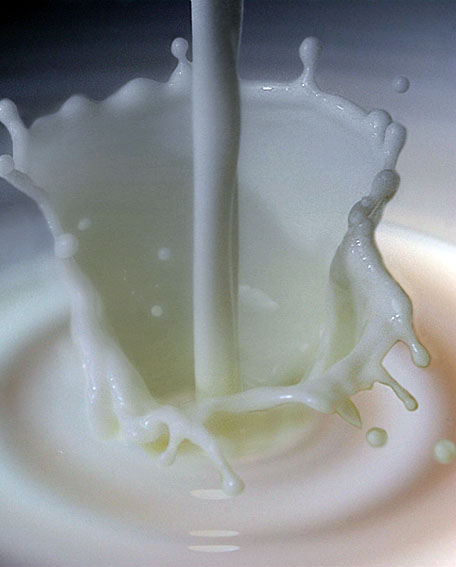 Estudos demonstram que a suplementação da dieta com leite ou derivados resultam em efeitos persistentes na massa óssea.Divulgação