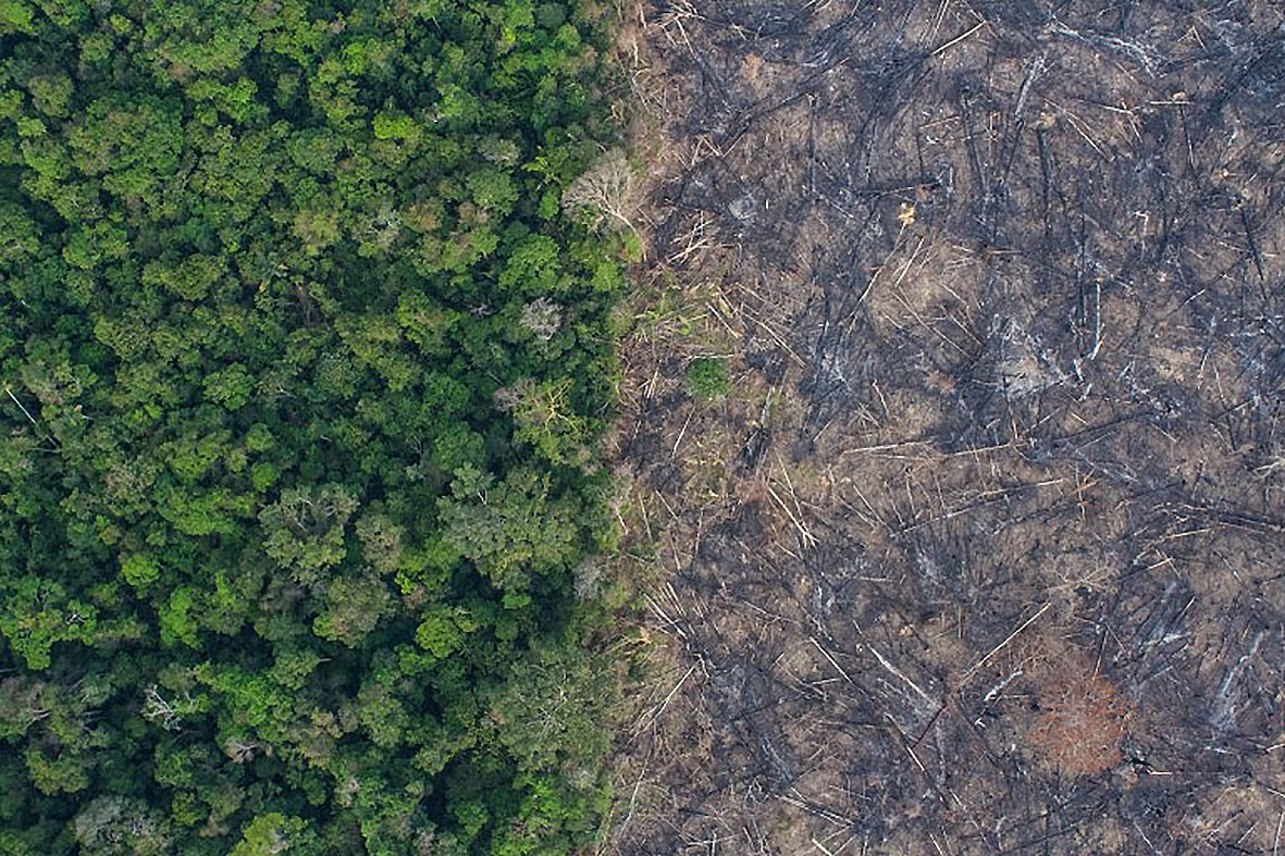 Ministério do Meio Ambiente da Alemanha decidiu suspender o financiamento de projetos para a proteção florestal e da biodiversidade da Amazônia em razão do aumento do desmatamento. Foto: ONG Kanindé